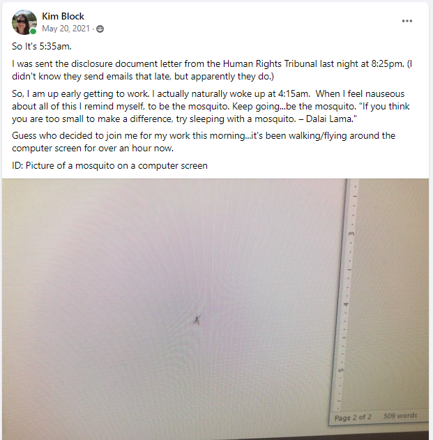 Facebook post: May 20, 2121

"So It's 5:35am. I was sent the disclosure document letter from the Human Rights Tribunal last night at 8:25 pm. (I didn't know they send emails that late, but apparently they do). So, I am up early getting to work. I actually naturally woke up at 4:15 am. When I feel nauseous about all of this I remind myself, to be the mostquito. Keep going...be the mosquito. "If you think you are too small to make a difference, try sleeping with a mosquito. - Dalai Lama" Guess who decided to join me for my work this morning...it's been walking/flying around the computer screen for over an hour now. ID: Picture ofa mosquito on a computer screen. 